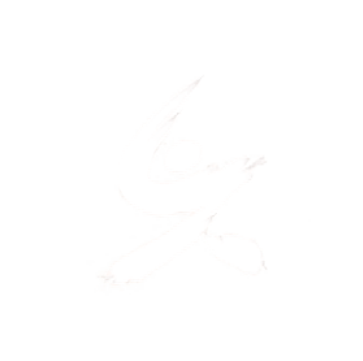 国家级专精特新“小巨人”