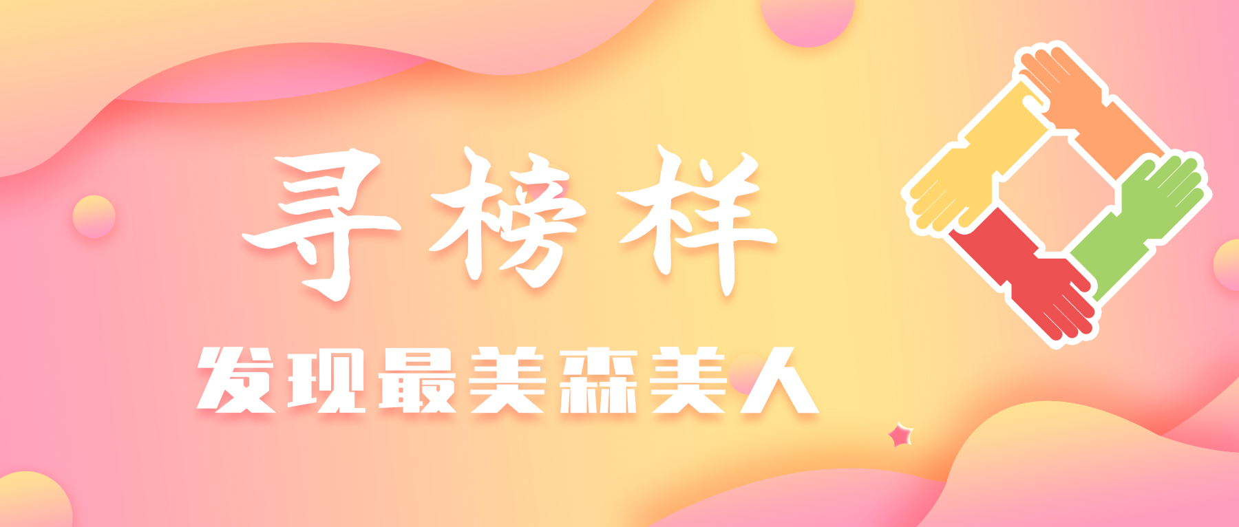 携手追逐森美梦想，合作铸就明日辉煌！
